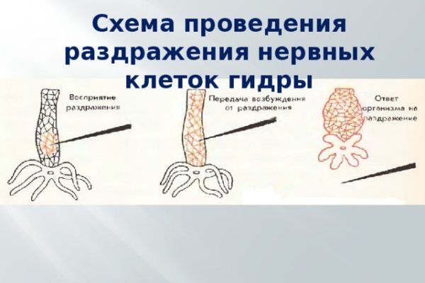 Кракен маркетплейс kr2web in